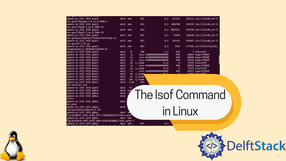 the-lsof-command-in-linux-delft-stack